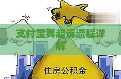 支付宝真起诉流程详解