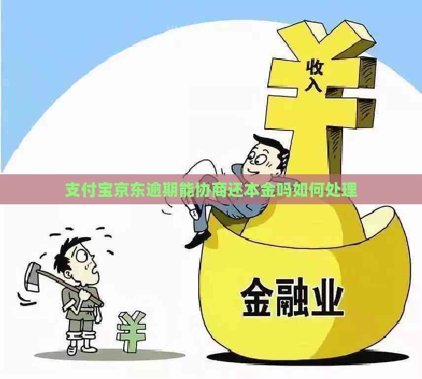 支付宝京东逾期能协商还本金吗如何处理