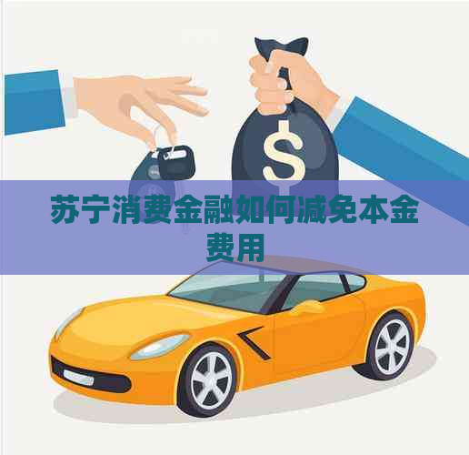 苏宁消费金融如何减免本金费用