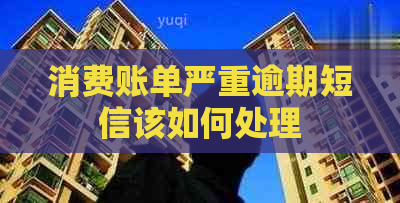 消费账单严重逾期短信该如何处理