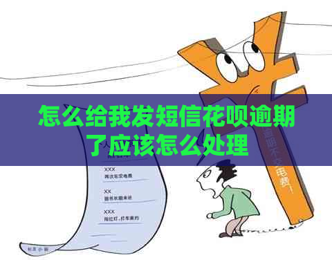 怎么给我发短信花呗逾期了应该怎么处理