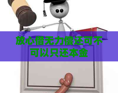 放心借无力偿还可不可以只还本金