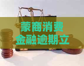 蒙商消费金融逾期立案流程是怎样的