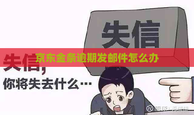 京东金条逾期发邮件怎么办