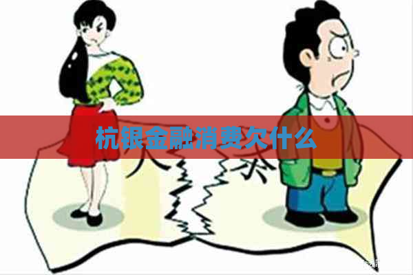 杭银金融消费欠什么