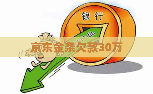 京东金条欠款30万