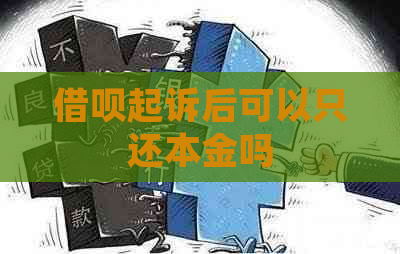 借呗起诉后可以只还本金吗