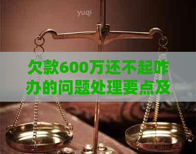 欠款600万还不起咋办的问题处理要点及条件