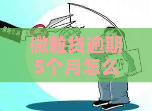 微粒贷逾期5个月怎么办