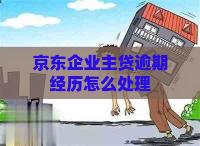 京东企业主贷逾期经历怎么处理