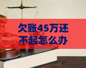 欠账45万还不起怎么办如何解决