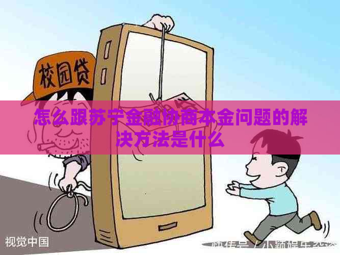 怎么跟苏宁金融协商本金问题的解决方法是什么