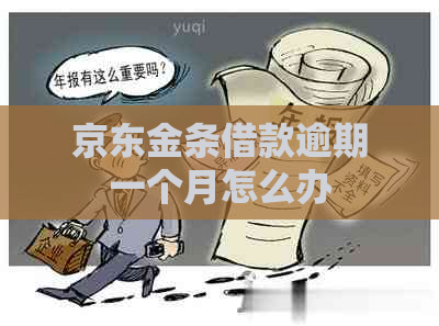 京东金条借款逾期一个月怎么办