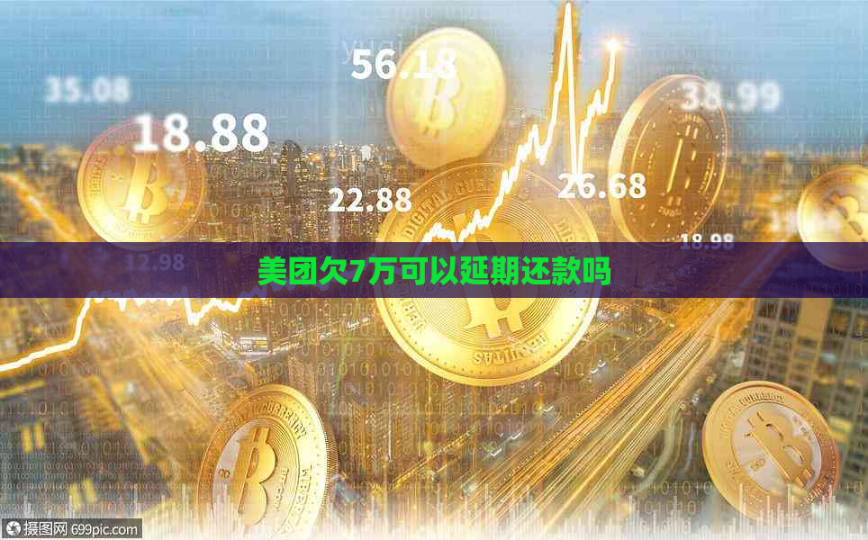 美团欠7万可以延期还款吗