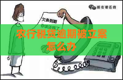 农行税贷逾期被立案怎么办