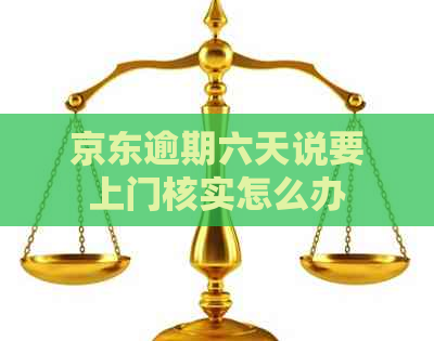 京东逾期六天说要上门核实怎么办