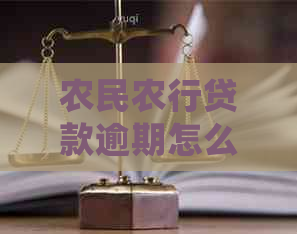 农民农行贷款逾期怎么办停息挂账申请不了