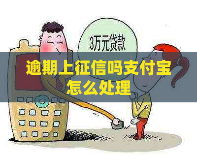 逾期上吗支付宝怎么处理