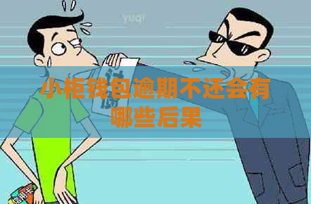 小柜钱包逾期不还会有哪些后果