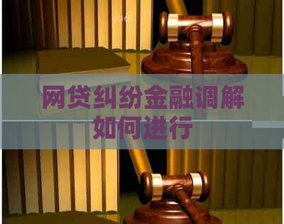 网贷纠纷金融调解如何进行