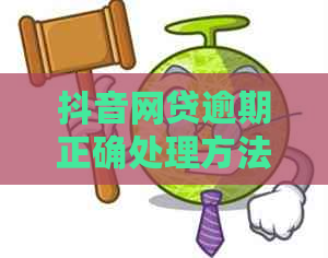 抖音网贷逾期正确处理方法