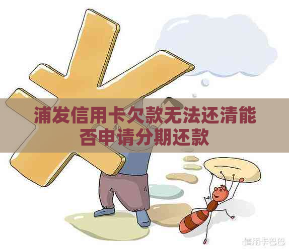 浦发信用卡欠款无法还清能否申请分期还款