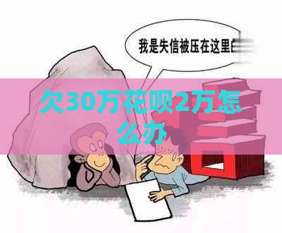 欠30万花呗2万怎么办