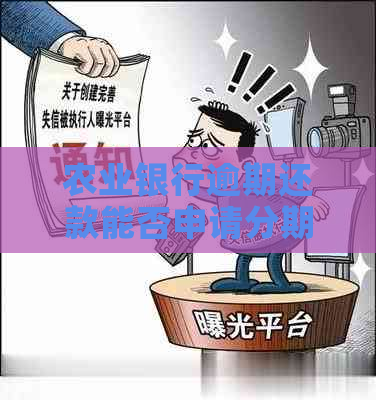 农业银行逾期还款能否申请分期付款