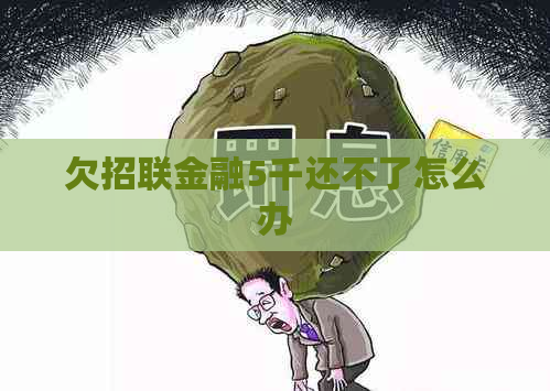 欠招联金融5千还不了怎么办