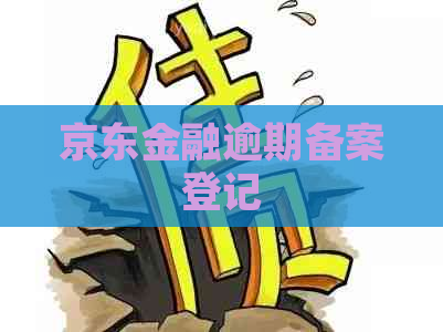 京东金融逾期备案登记