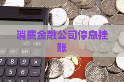 消费金融公司停息挂账