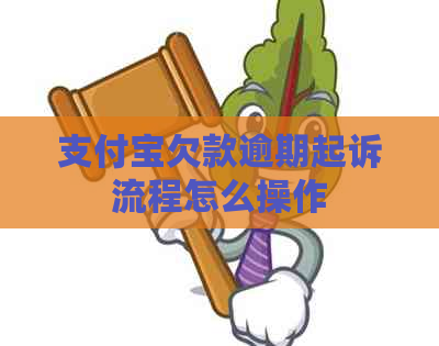 支付宝欠款逾期起诉流程怎么操作