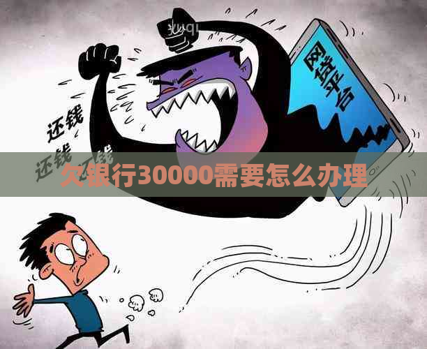 欠银行30000需要怎么办理