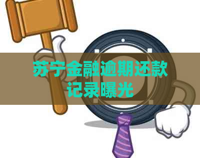 苏宁金融逾期还款记录曝光