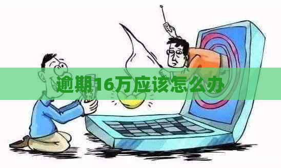 逾期16万应该怎么办