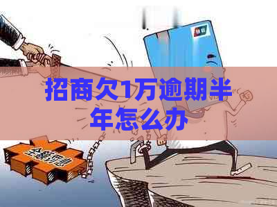 招商欠1万逾期半年怎么办