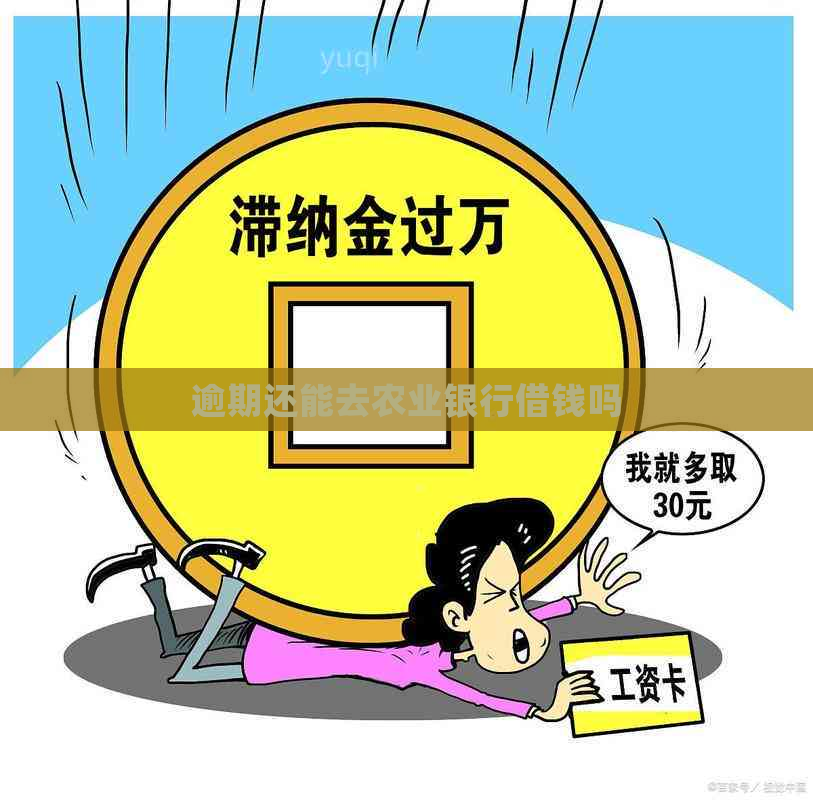 逾期还能去农业银行借钱吗