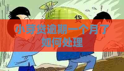 小芽贷逾期一个月了如何处理