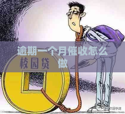 逾期一个月怎么做