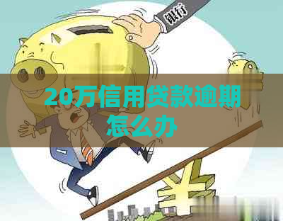 20万信用贷款逾期怎么办