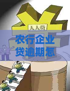 农行企业贷逾期怎么办