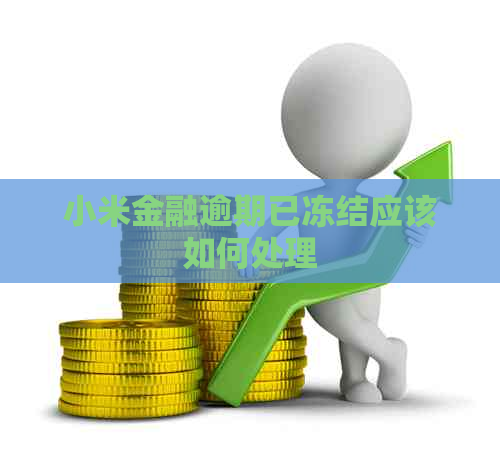 小米金融逾期已冻结应该如何处理