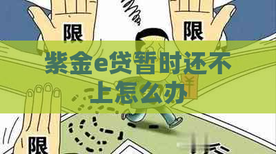 紫金e贷暂时还不上怎么办