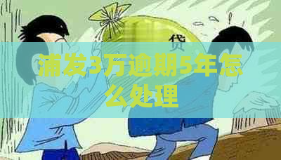 浦发3万逾期5年怎么处理