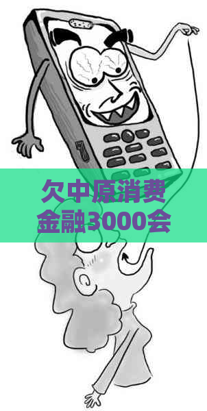 欠中原消费金融3000会上门吗