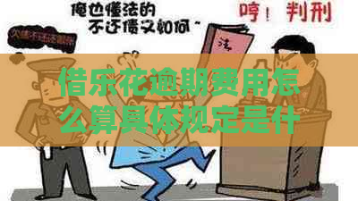 借乐花逾期费用怎么算具体规定是什么