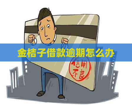 金桔子借款逾期怎么办