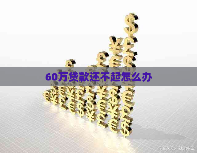 60万贷款还不起怎么办