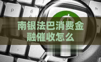 南银法巴消费金融怎么