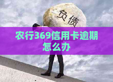 农行369信用卡逾期怎么办